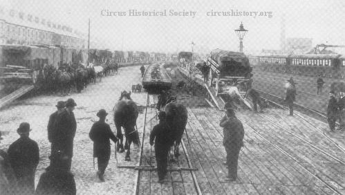 European Show Train