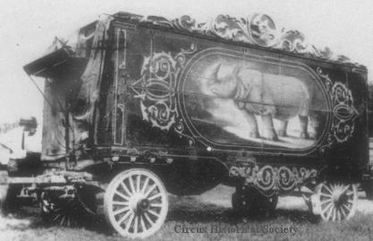 Rhino cage