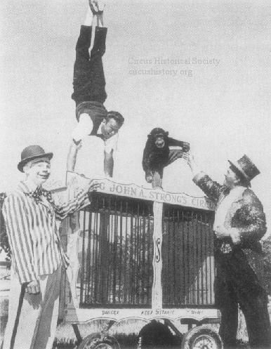 Performers