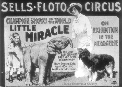 Little Miracle