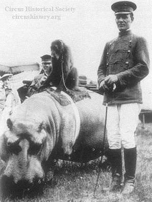 Allen King with hippo