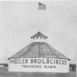 Ring barn