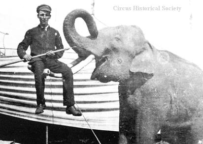 Elephant Tom-Tom