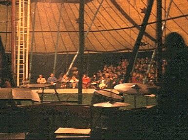 Before the show
