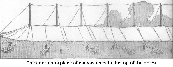 Setting up the tent