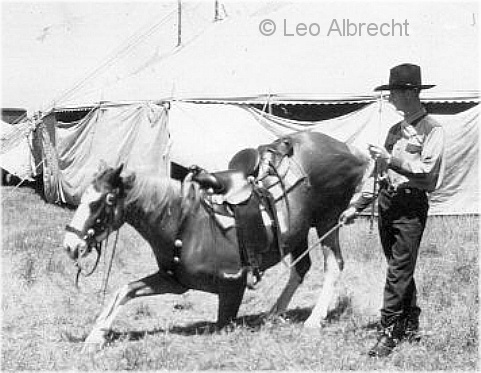 Bob Grubb, Trick Horse